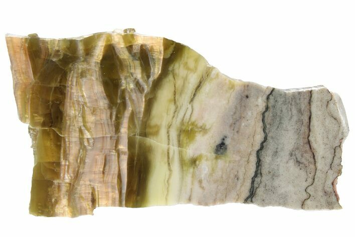 Chatoyant, Polished Pietersite Slab - Arizona #227856
